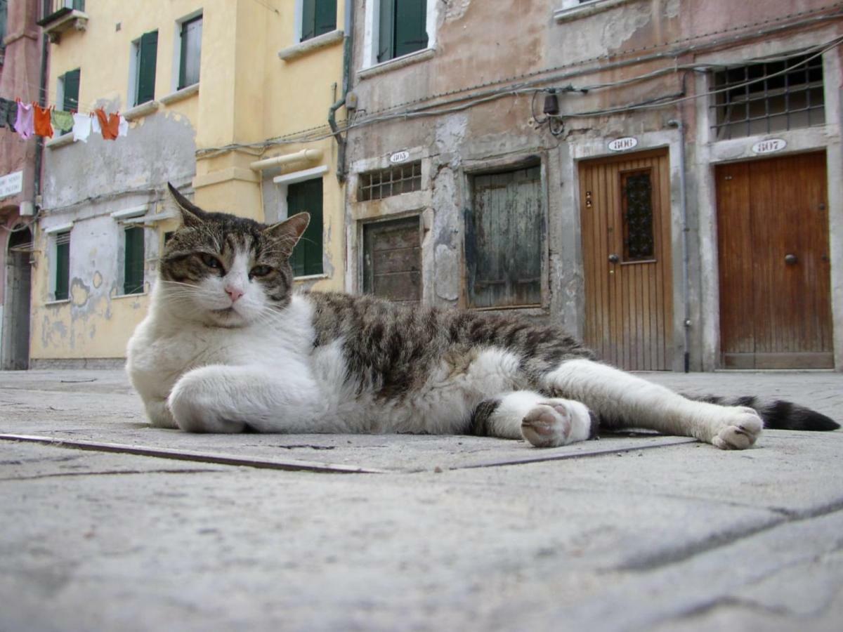 Apartment Essence Of Venice Veneza Exterior foto